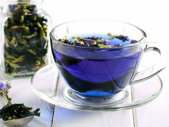 Butterfly pea flower tea, bright blue in a glass cup